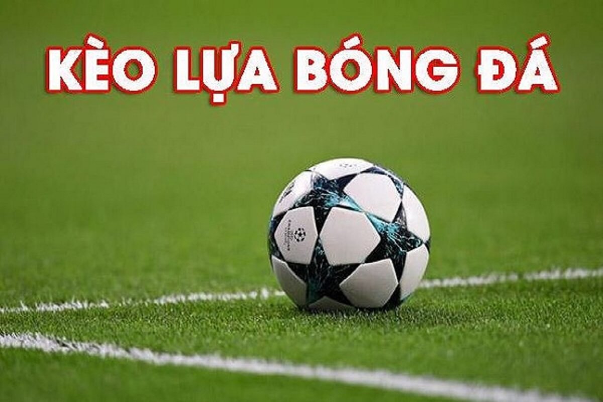 Kèo lựa (hay còn gọi là kèo lựa chọn)