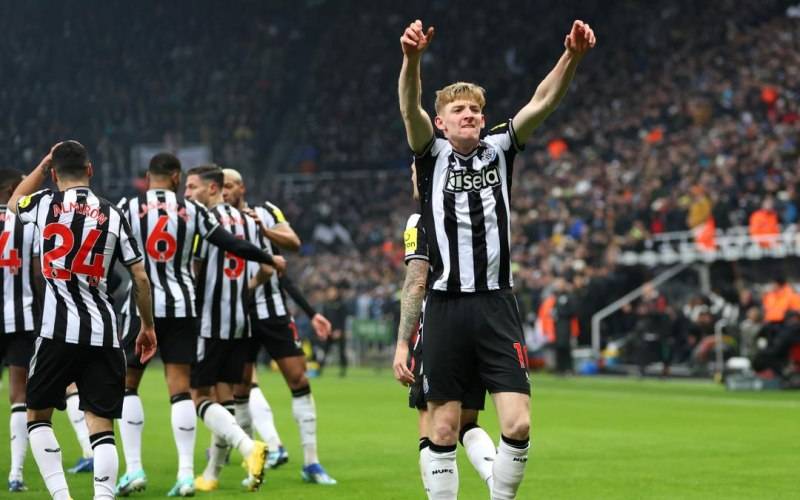 Soi kèo Everton vs Newcastle: Các vị khách rõ ràng là những người được đặt ở thế cửa trên