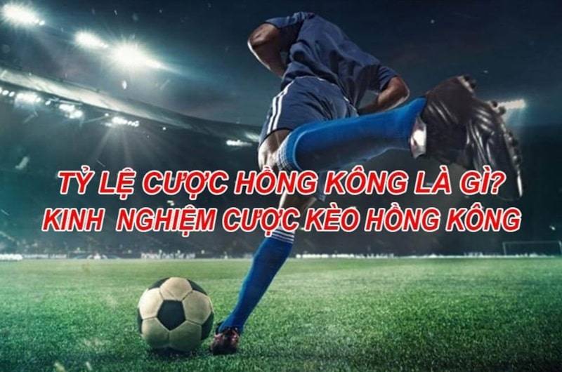 Khám phá về tỷ lệ cược hongkong