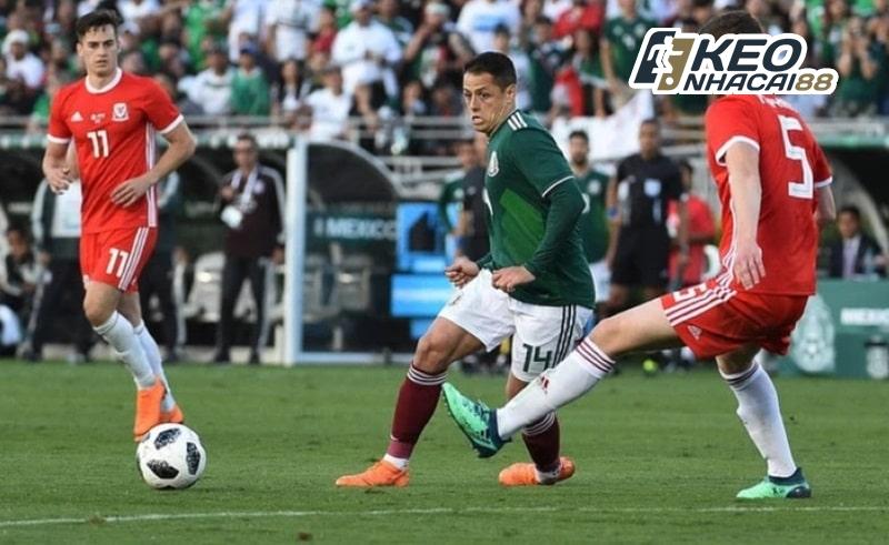 Javier Hernandez là cầu thủ sở hữu tốc độ rất tốt ở giai đoạn đỉnh cao trước đây